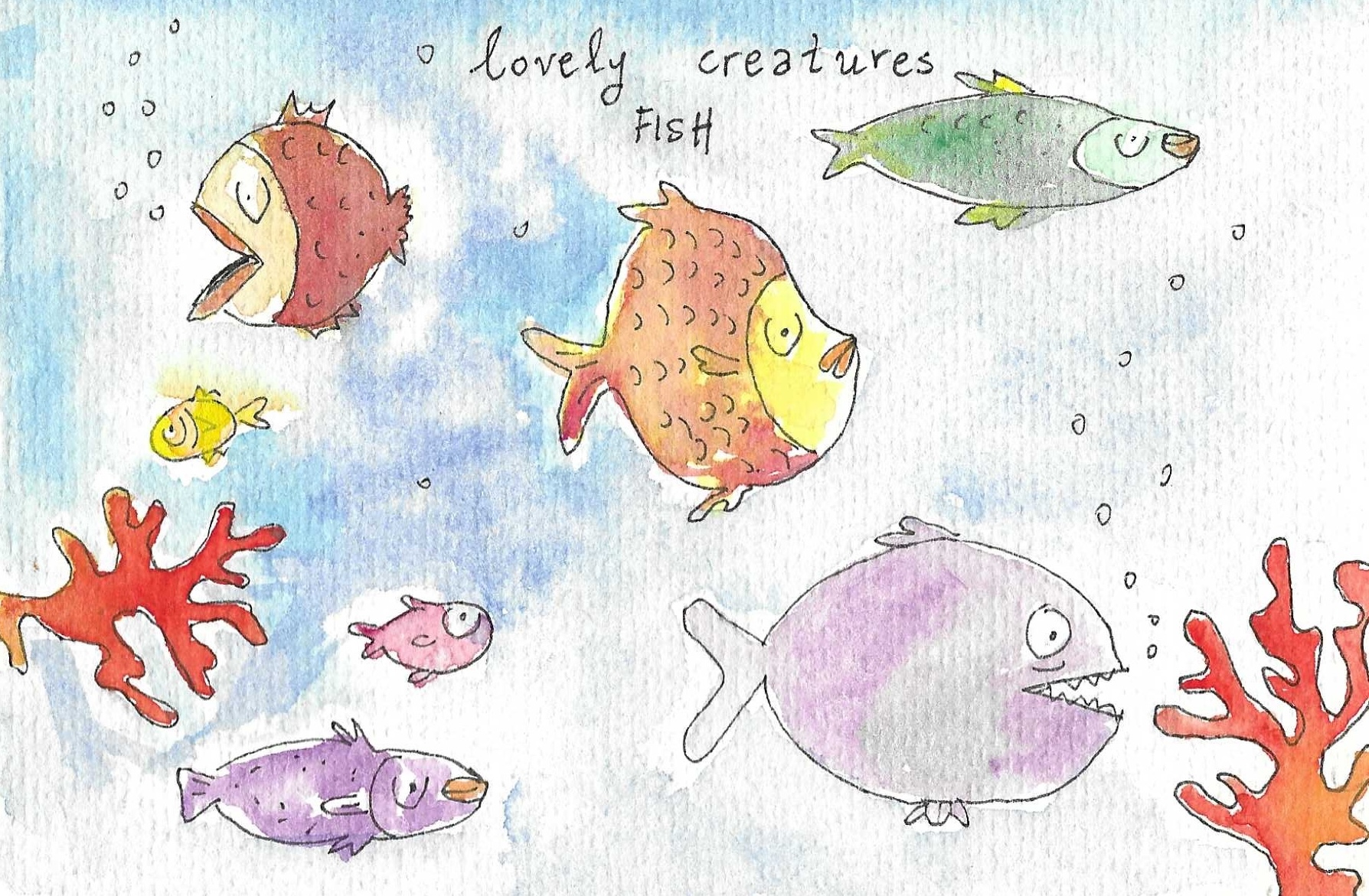 Lovely fish